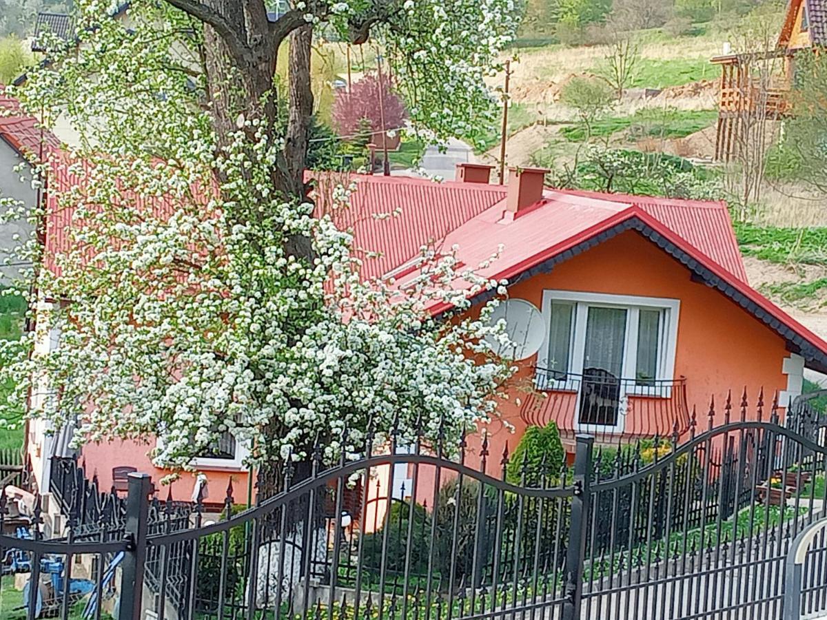 Agroturystyka U Janosika Bozkow Exterior foto